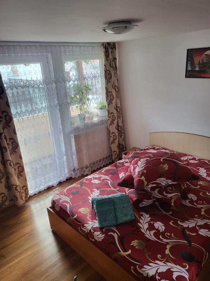 Pensiunea Lacramioara Vatra Dornei Exteriör bild