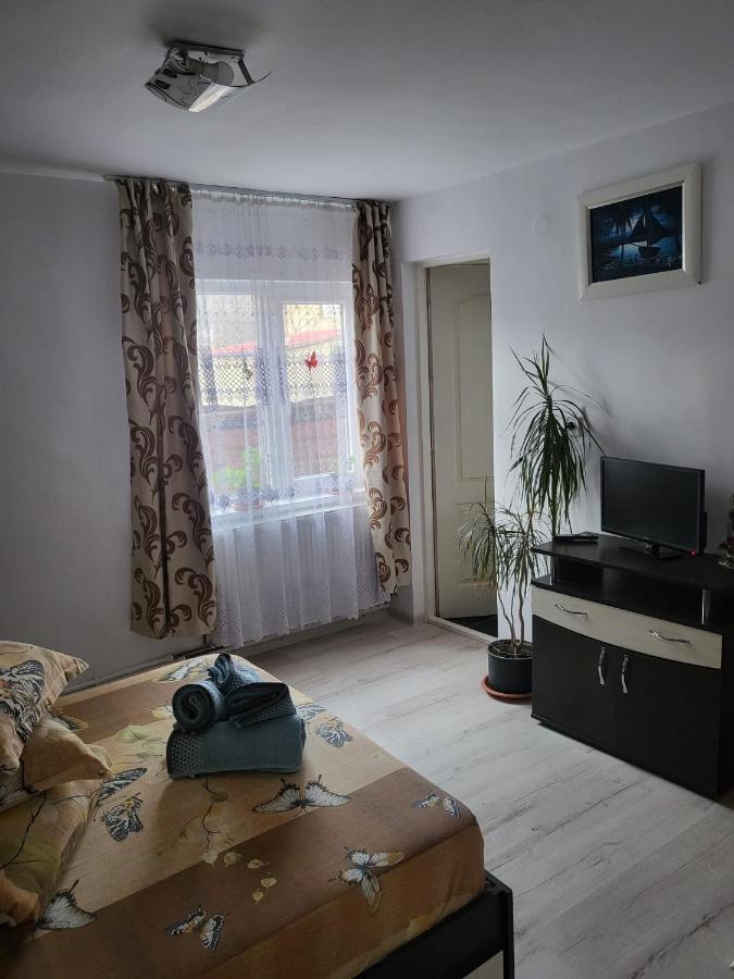 Pensiunea Lacramioara Vatra Dornei Exteriör bild