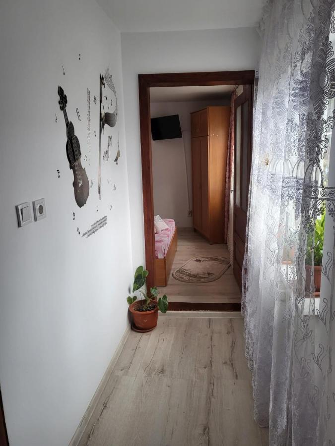 Pensiunea Lacramioara Vatra Dornei Exteriör bild